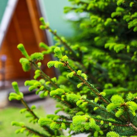 Rooms & Glamping Lana Haus Licko Petrovo Selo المظهر الخارجي الصورة